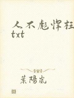 人不彪悍枉少女txt