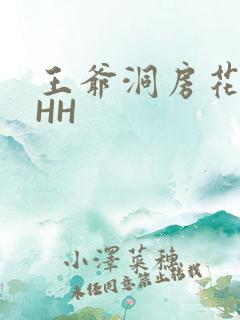王爷洞房花烛夜HH