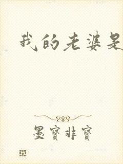 我的老婆是卧底