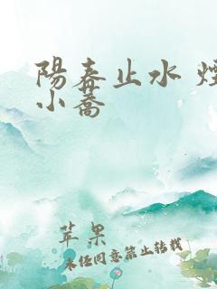 阳春止水 烟树小荞