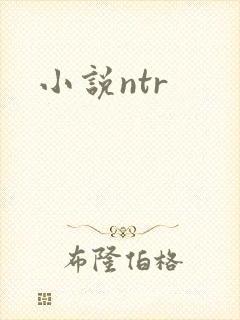 小说ntr