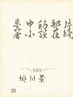 梦中的那片海原著小说在线阅读