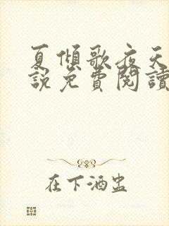 夏倾歌夜天承小说免费阅读