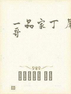 一品家丁 犀利哥