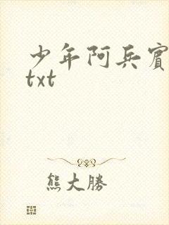少年阿兵宾小说txt
