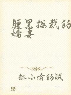 腹黑总裁的双面娇妻