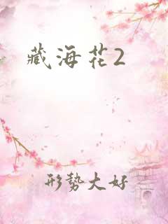 藏海花2