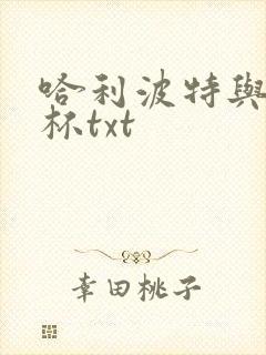 哈利波特与火焰杯txt