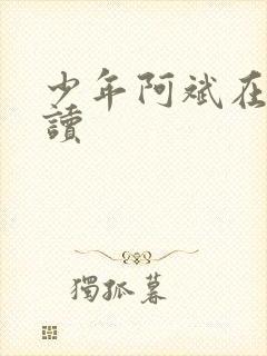 少年阿斌在线阅读