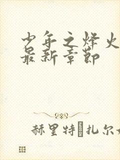 少年之烽火岁月最新章节