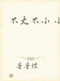 不大不小 小说