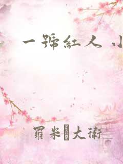 一号红人 小说