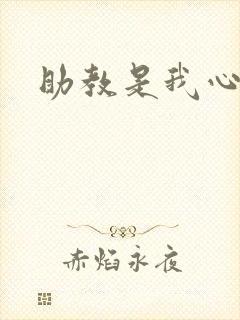 助教是我心尖宠