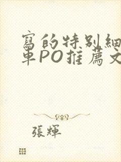 写的特别细的开车PO推荐文多人