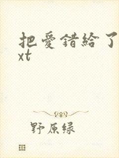 把爱错给了你txt