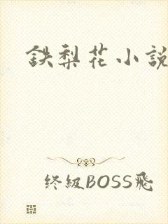 铁梨花小说