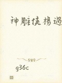 神雕侠杨过后传