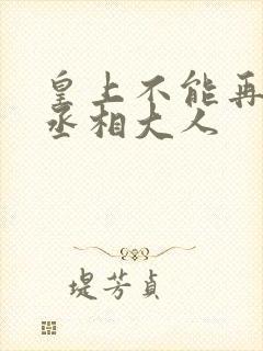 皇上不能再进了丞相大人