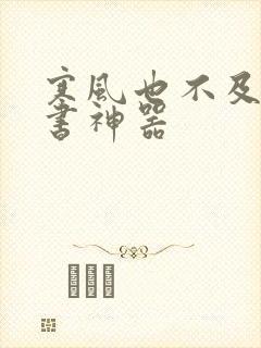 寒风也不及她追书神器