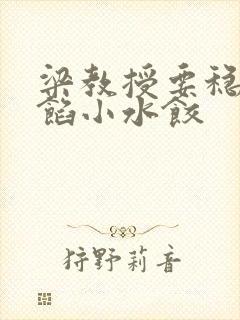 梁教授要稳住肉馅小水饺