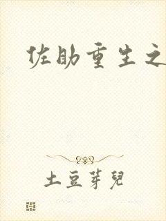 佐助重生之死神