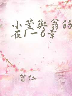 小莹与翁的销魂夜1一6章