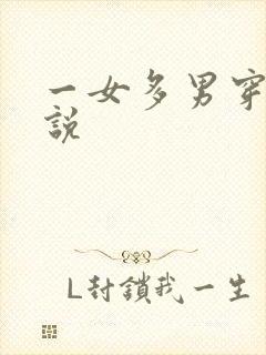 一女多男穿越小说