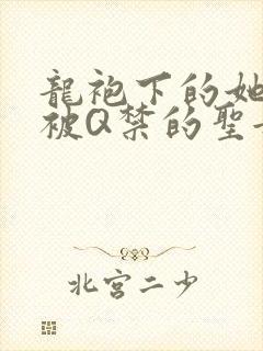 龙袍下的她皇嫂被Q禁的圣女