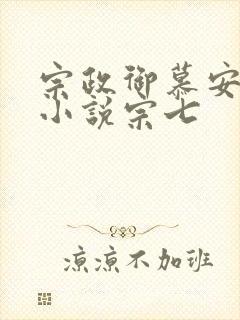 宗政御慕安安的小说宗七