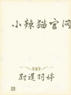 小辣猫官网