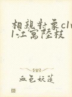 相亲对象c1v1江寓陆枝