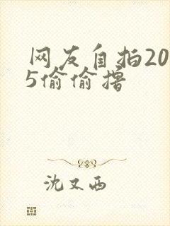 网友自拍2015偷偷撸