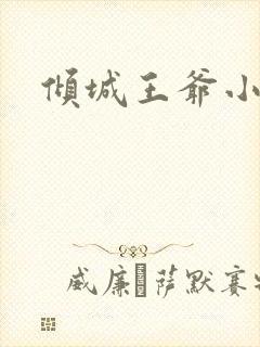 倾城王爷小小妃