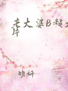 老大婆B超大图片