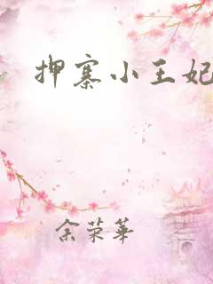 押寨小王妃