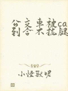 公交车被cao到合不拢腿视频