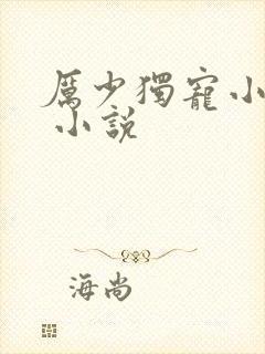 厉少独宠小娇妻 小说