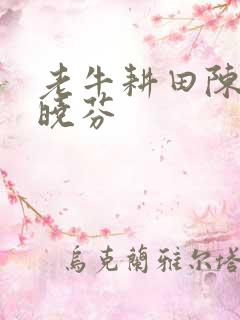 老牛耕田陈雪杨晓芬