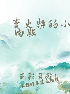 卖火柴的小男孩 肉版