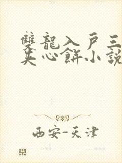 双龙入户三人行夹心饼小说
