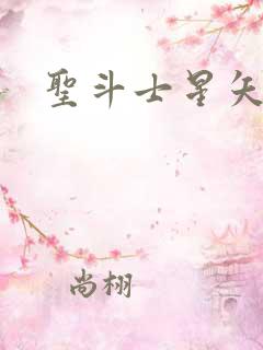 圣斗士星矢小说