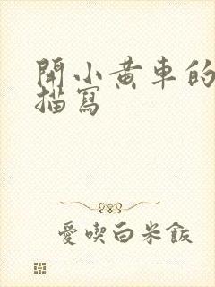 开小黄车的细腻描写