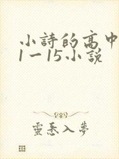 小诗的高中日记1一15小说
