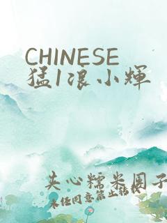 CHINESE猛1浪小辉