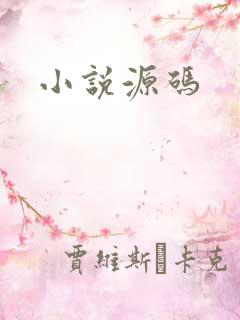 小说源码