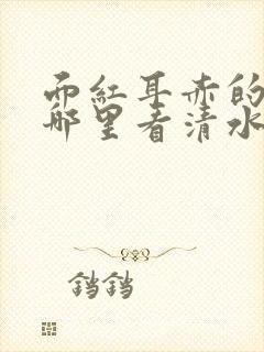 面红耳赤的小说哪里看清水村花