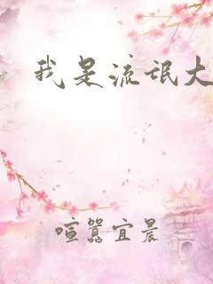 我是流氓大律师