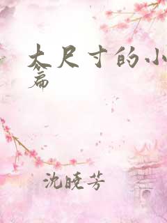 大尺寸的小说短篇