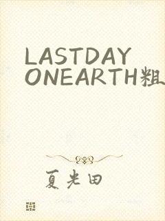 LASTDAYONEARTH粗暴