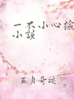 一不小心捡到爱小说